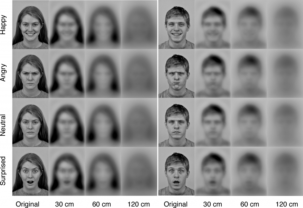 počítačová simulace, jak děti vnímají výrazy různě vzdálené lidské tváře