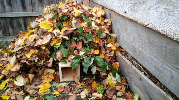 Zakrytý domeček listím